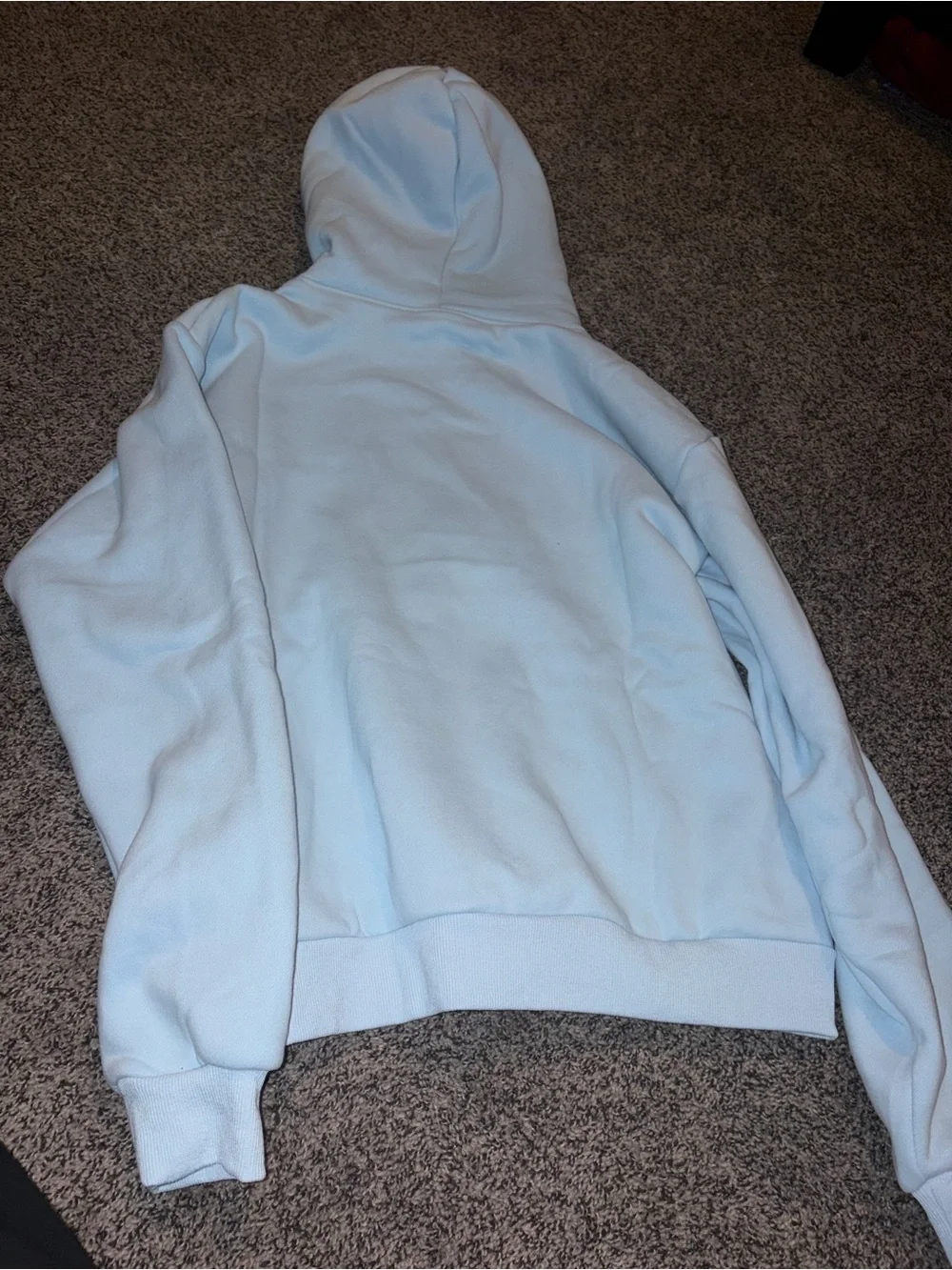 Light Blue Spiderweb Graphic Hoodie - Unbranded